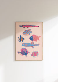 Tropical Reef Fish Australia Art Print
